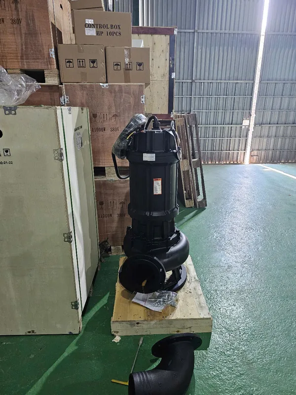 Rửa và kiểm bơm chìm trước khi thả sang ao mới
