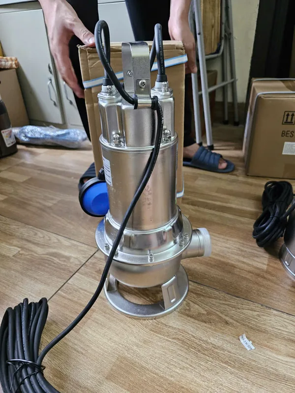 Bơm chìm và ống đẩy tại bờ ao